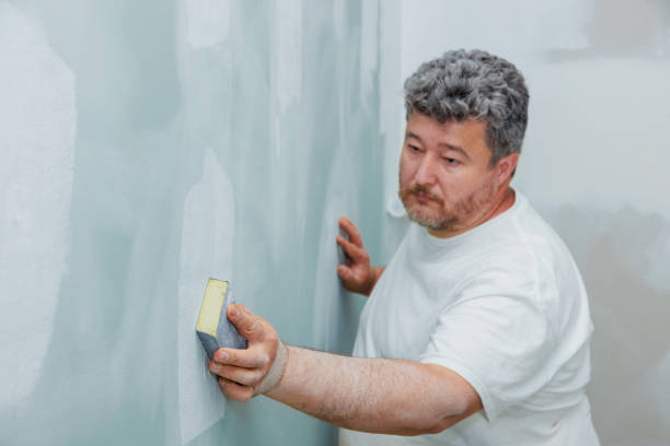 Best Mold Odor Removal Services  in Web, AL